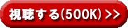 視聴する(500M)